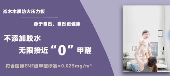 蛇年新啟，浙江焱木科技正式開工